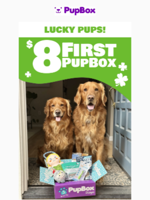 PupBox - 💨 ENDS TONIGHT Scott first box only $8! 🍀