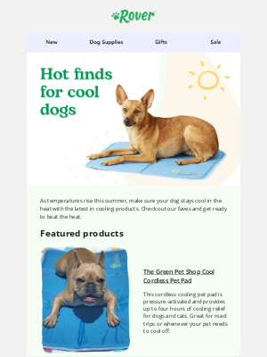 Rover.com - It’s hot! Cool your dog off ASAP with these picks