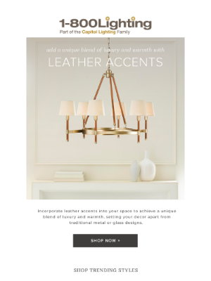 Bellacor - Trend Alert: Leather Accents »