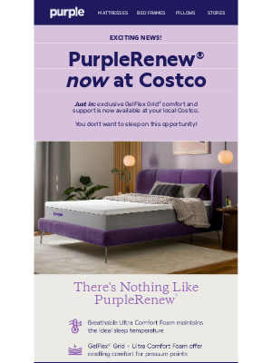 Purple - Exciting News Inside!