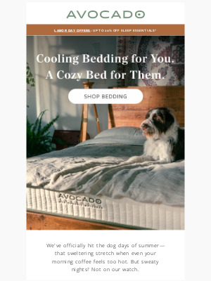 Avocado Green Mattress - Cooling Bedding for You. A Cozy Bed for Them.