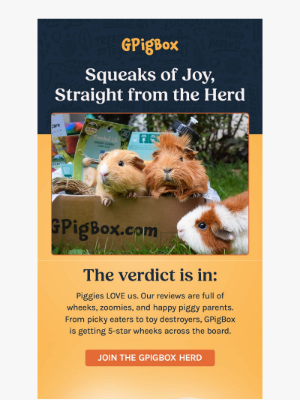 Fetch Pet Products - Rave Reviews + Big Squeaks = One Happy Herd