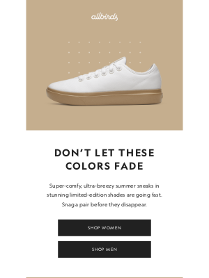 Allbirds - Going, going, (almost) gone 💥