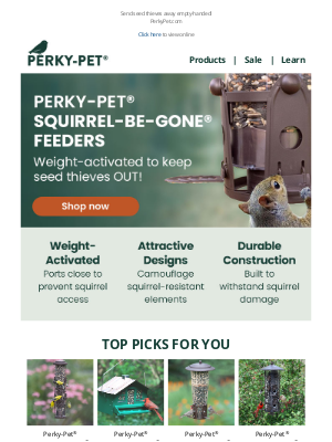 Shut Squirrels OUT.