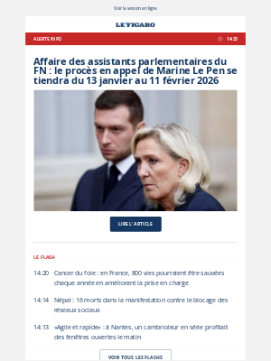 Le Figaro (France) - 🔴 Affaire des assistants parlementaires du FN : le procès en appel de Marine Le Pen se tiendra du 13 janvier au 11 février 2026