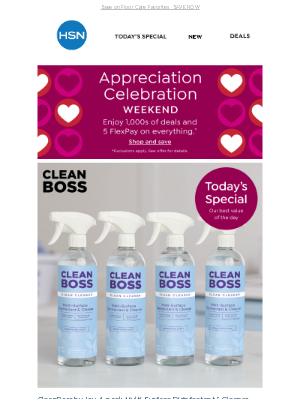 Home Shopping Network - Clean Like a Boss with Joy Mangano 🧼