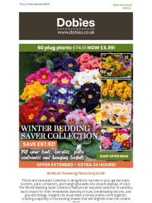 Dobies (United Kingdom) - 60 Winter Flowering Plants Only £6.99! EXTRA 24 HOURS!