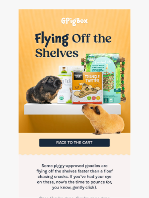 Fetch Pet Products - Going… Going… Almost Gone!