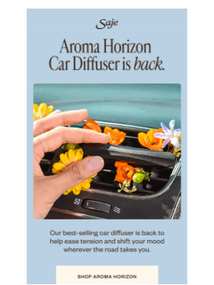 Saje Natural Wellness - Our #1 car diffuser is back