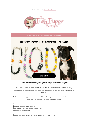 👻 Spooky-Chic! Dainty Paws Halloween Collars Have Arrived