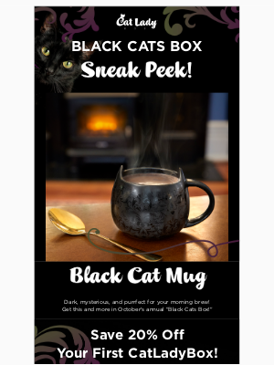 CatLadyBox - 🖤 Black Cats Box Spoiler!