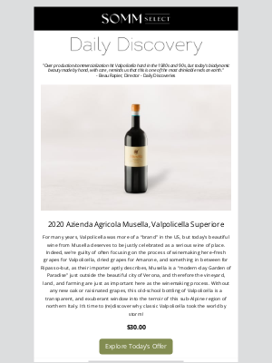 SommSelect - An Old-School, Italian Instant-Classic Red Returns