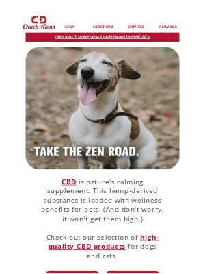 Kriser’s Natural Pet - Can CBD get your pet high?