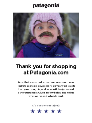 Creative email asking for product review from Patagonia