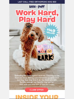 BarkBox - Last chance to sleep on this deal ($149 Value)