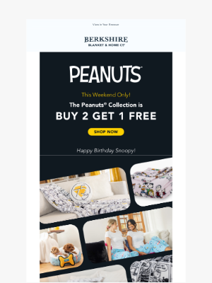 Berkshire Blanket - Peanuts® Flash Sale Starts Now!