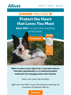 Allivet - Trusted Heart Support