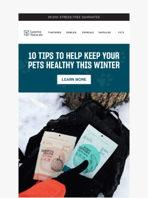 Lazarus Naturals - 10 Ways To Keep Pets Healthy This Winter