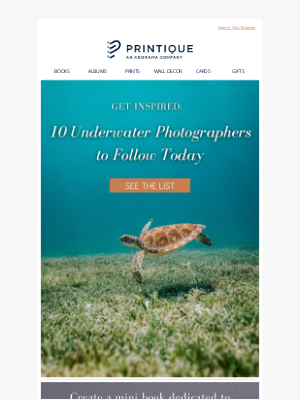 Printique - 10 Underwater Photographers to Follow Today 🌊