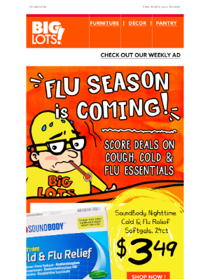 Big Lots - Boo the flu & boo-tify your yard with spooky savings! 👻