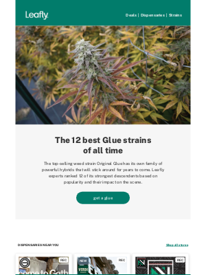 Leafly - 💧 The 12 best Glue strains of all time