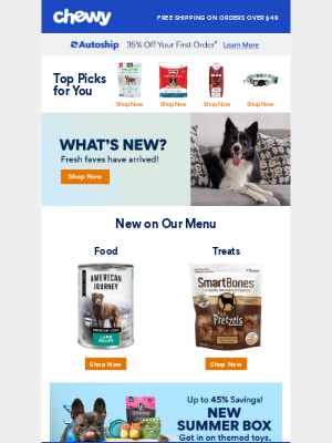 Chewy - Latest, Greatest, Fresh New Favorites