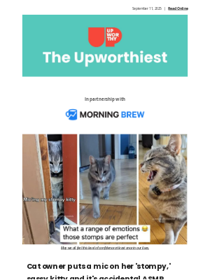 Upworthy - Cat owner puts a mic on her 'stompy,' sassy kitty and it's accidental ASMR