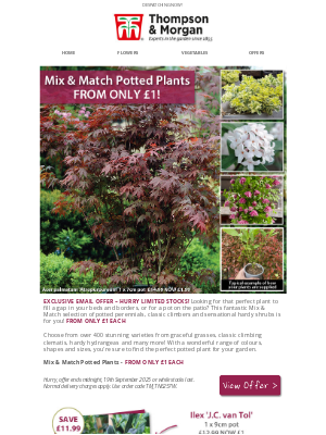 Thompson & Morgan (United Kingdom) - From £1! Potted Perennials, Shrubs & Climbers!