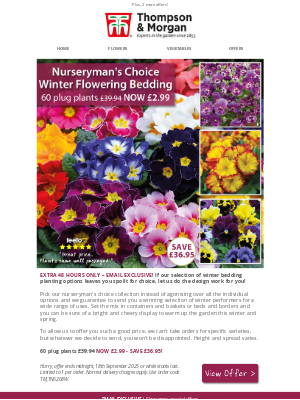 Thompson & Morgan (United Kingdom) - 60 Winter Flowering Plants Only £2.99!