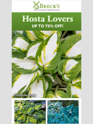 Breck’s Bulbs - Exclusively for Hosta-ficionados!