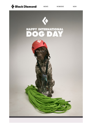 Black Diamond Equipment - This One's For Our Dogs