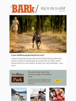 BarkGoods - Is Your Rebellious Pup Ignoring You?