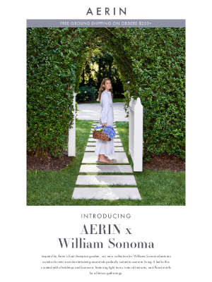 AERIN LLC - AERIN x Williams Sonoma