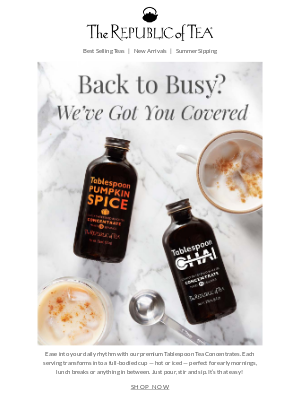 The Republic of Tea - Back to Busy? We’ve Got You Covered