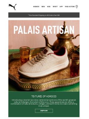 PUMA USA - Palais Artisan: Where Culture Meets Style