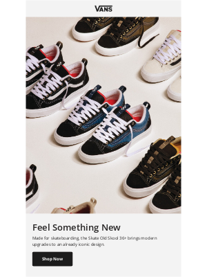 Vans - THE SKATE OLD SKOOL 36+