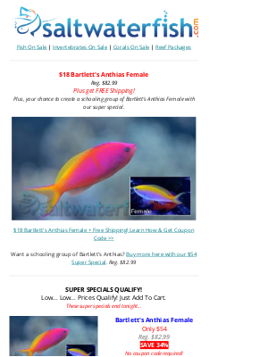 🐠$18 BARTLETT'S Anthias + Free Shipping!