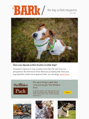 BarkGoods - Does Your Pee on Their Leash?