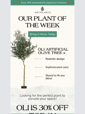 A Timeless Favorite: Oli Artificial Olive Tree 🌿