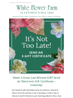 It’s Not Too Late! Send an E-Gift Certificate