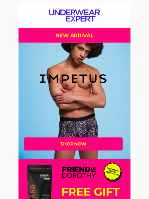 The Underwear Expert, Inc. - ℹ️ In With The New - Impetus