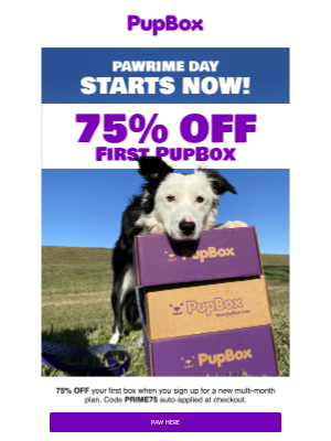 PupBox - 75% OFF with PAWrime Day Deals!! 🎉