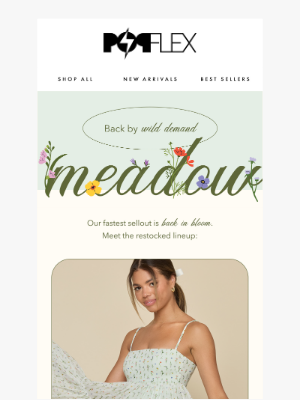 POPFLEX - RESTOCKED! MEADOW 💐