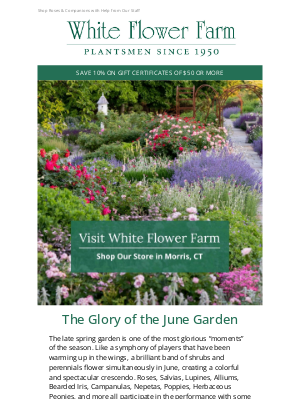 White Flower Farm - Roses & Perennials: A Feast for the Senses at the White Flower Farm Store