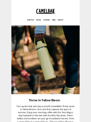 The Color of Summer: Yellow Bloom