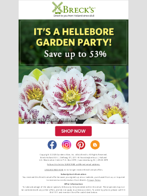 Breck’s Bulbs - 🎈 Balloons & Blooms: Party With Our Hellebores!