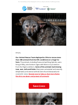 Humane Society of the United States - 300+ animals rescued from horrific fur farm conditions