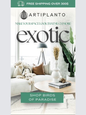 artiplanto - Turn Your Space Into A Green Paradise  🙌