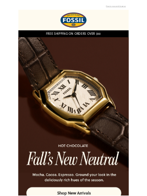 Fossil - 🤎 Hot Chocolate, Anyone?
