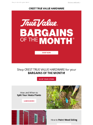 True Value - Check out our Bargains of the Month TODAY!